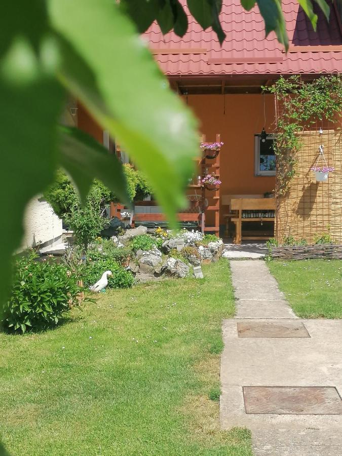 Studio Apartman Krosna Perusic Экстерьер фото